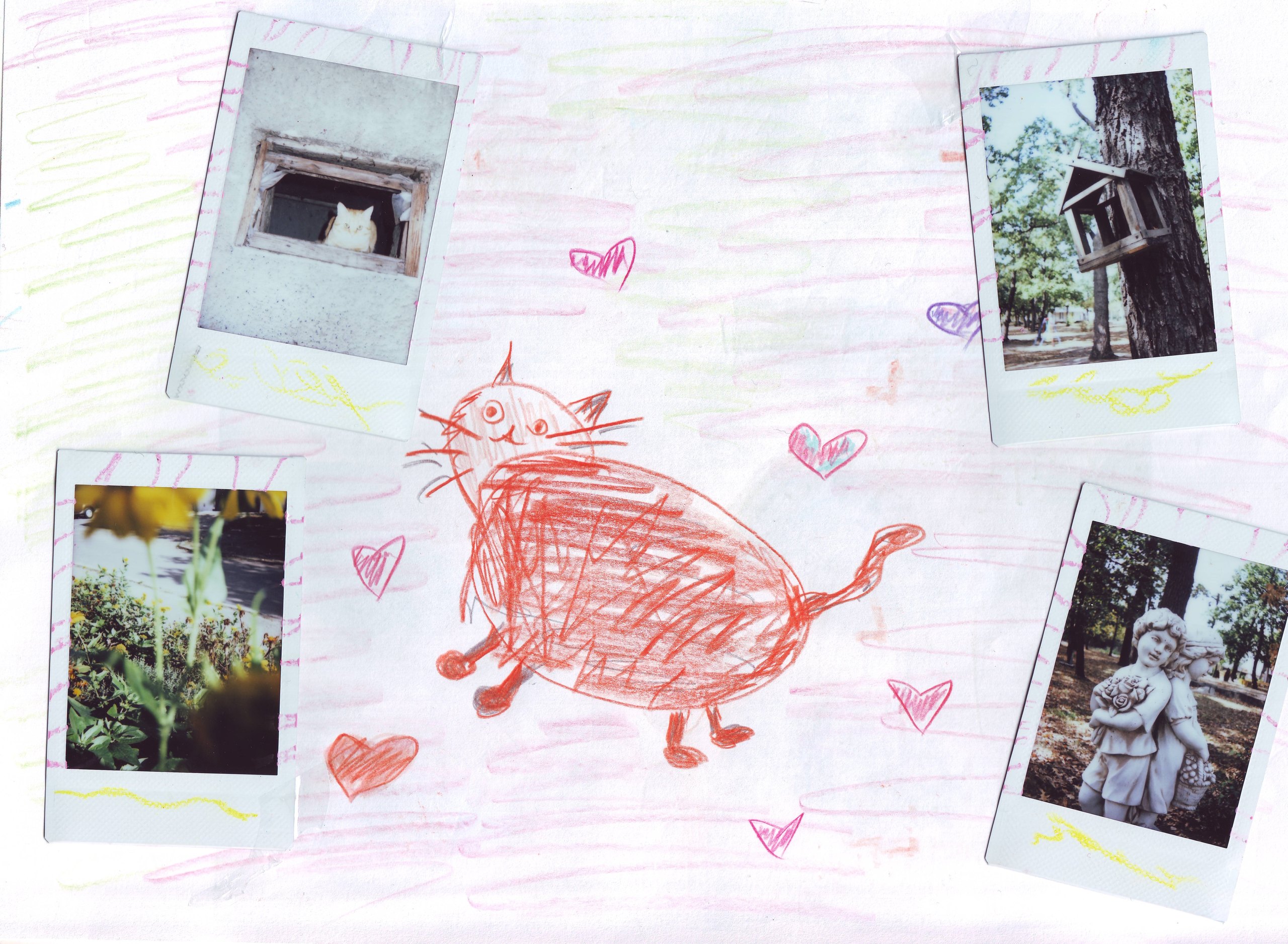 Drawing of a cat with polaroids