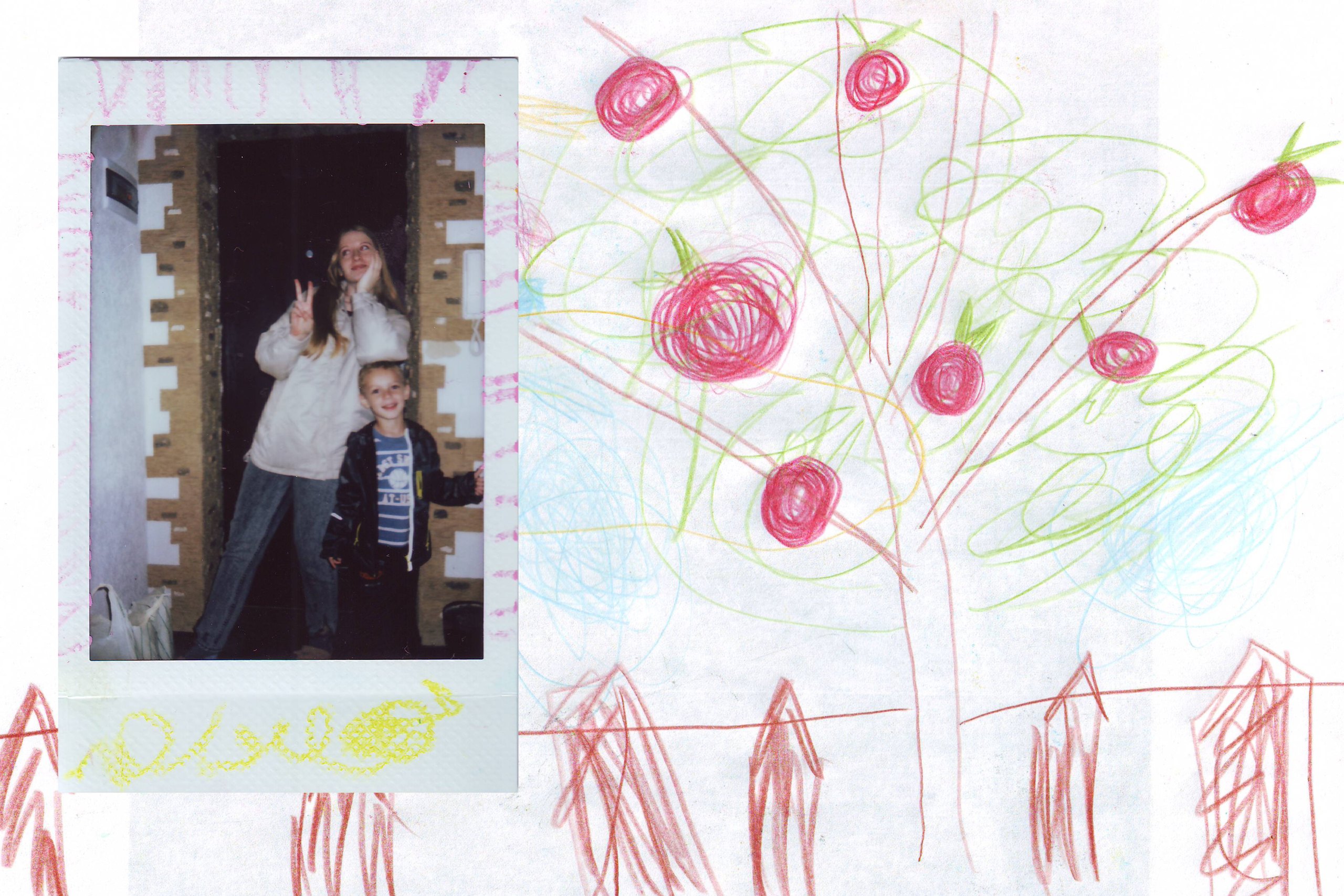 Drawing of roses with a polaroid
