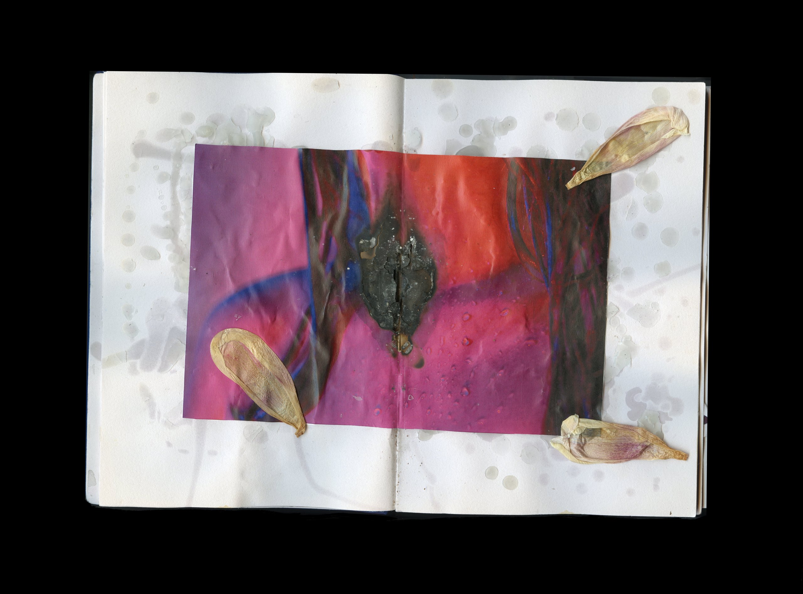 open book