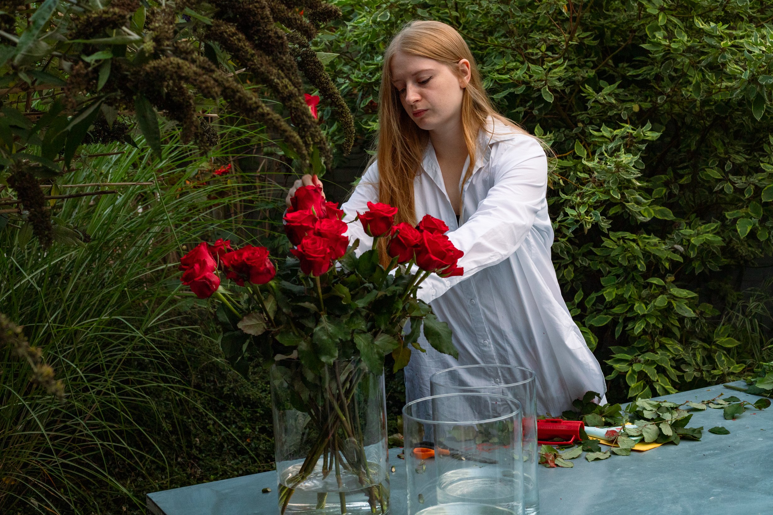 The artist arranging red roses in glass vases