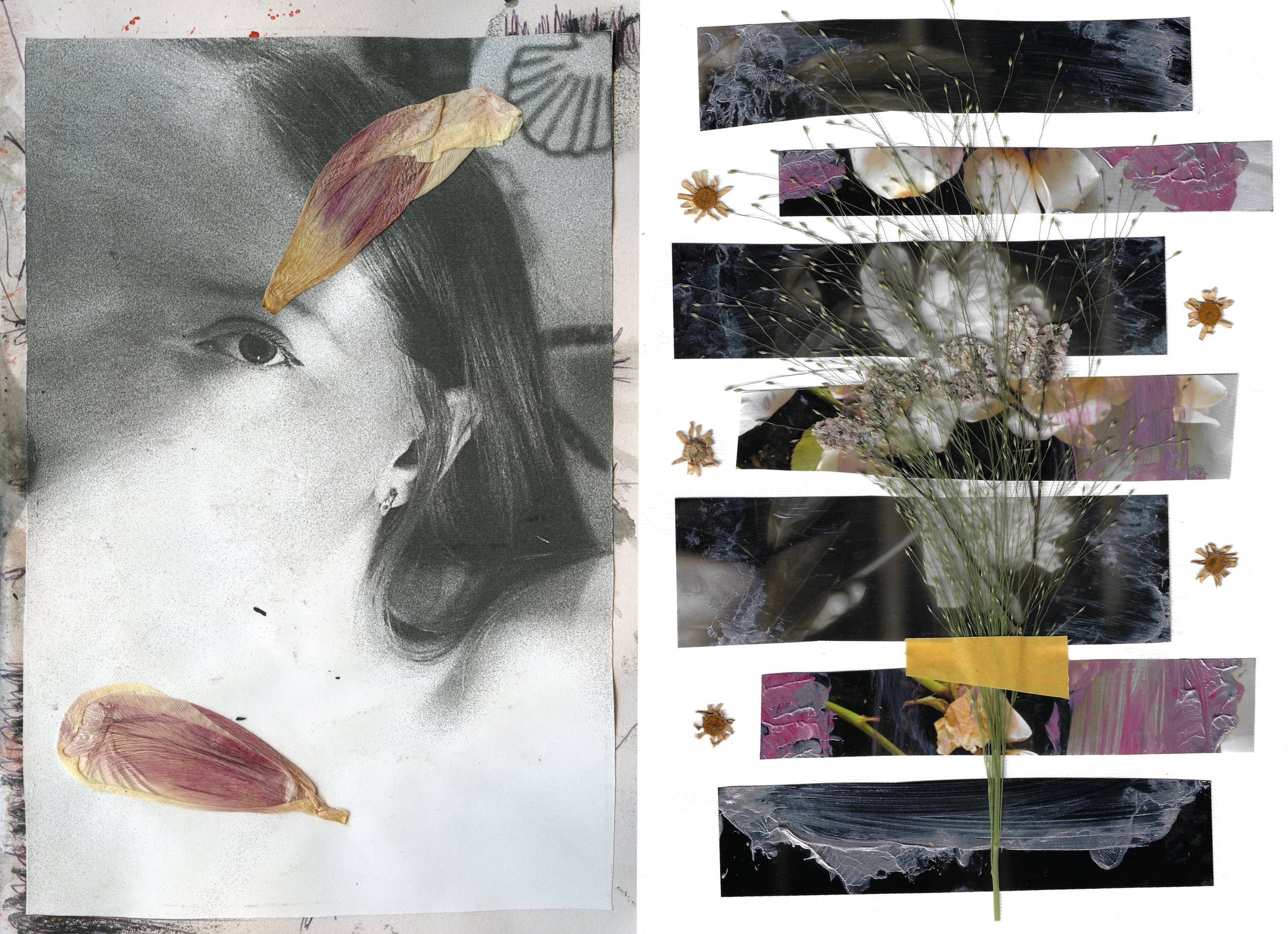 Collage of a portrait with petals and strips of flower photographs