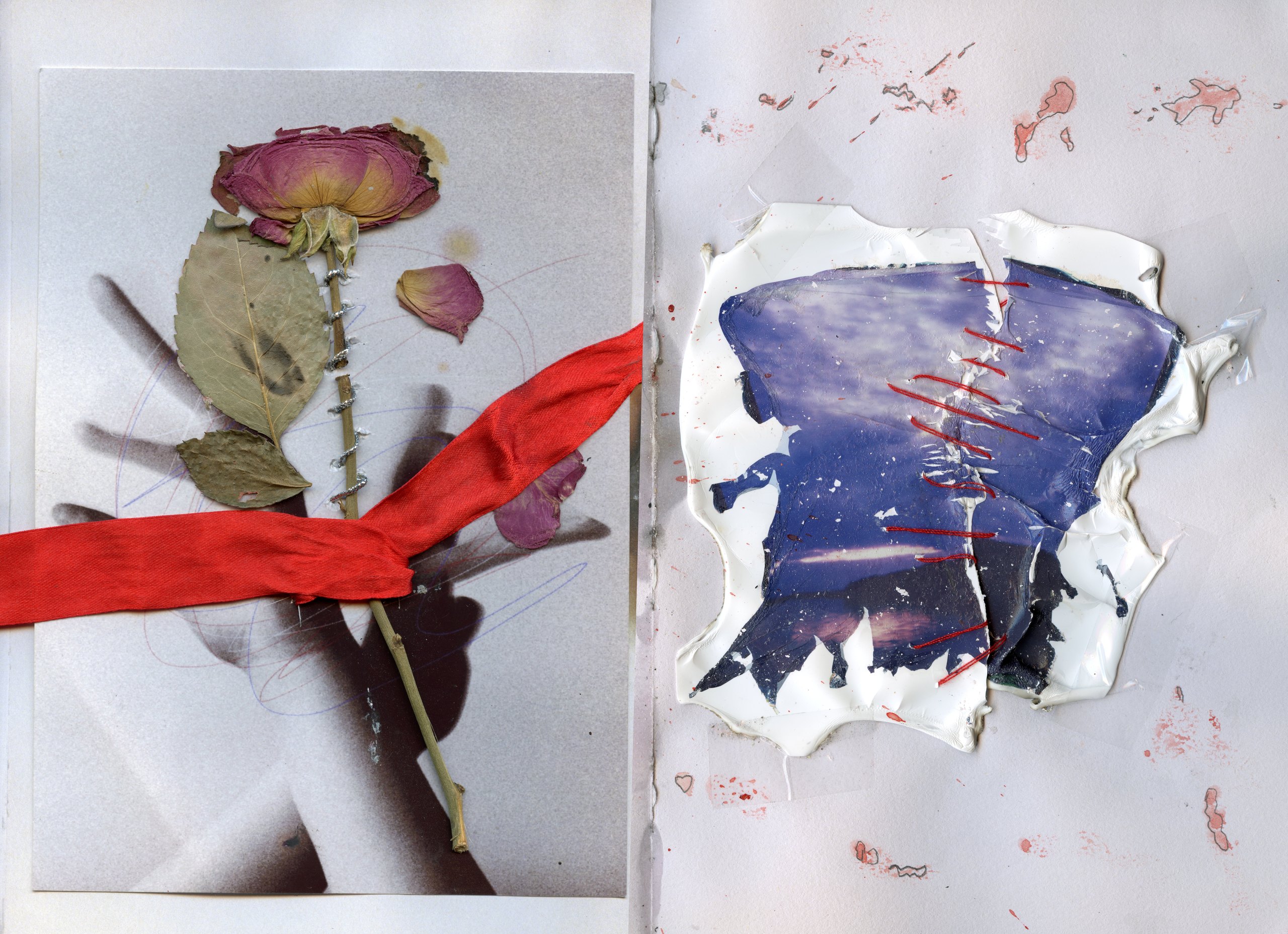 Rose with a red ribbon on a spread